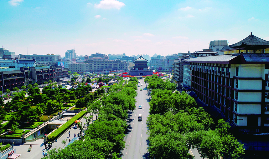 �����辶����