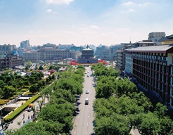 ������������辶